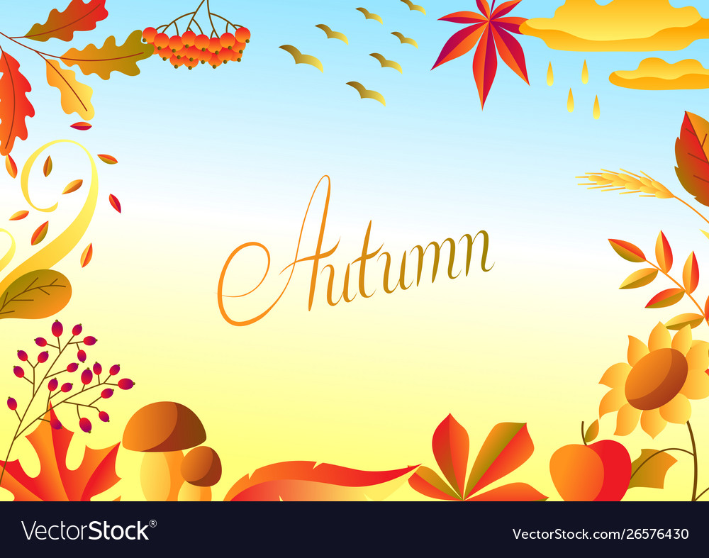 Autumn Leaves and Berries Background