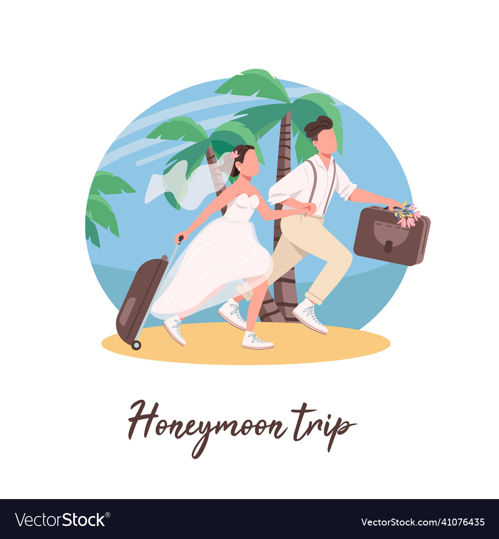 Just married couple first travel social media Vector Image pic