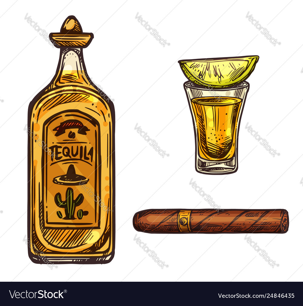 Mexican tequila lime drink and cigar sketch Vector Image