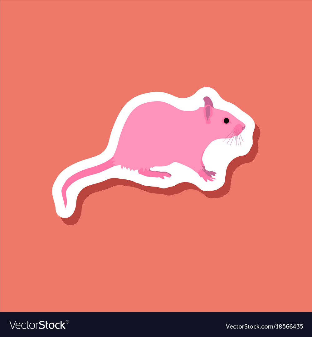 Rat paper sticker on stylish background