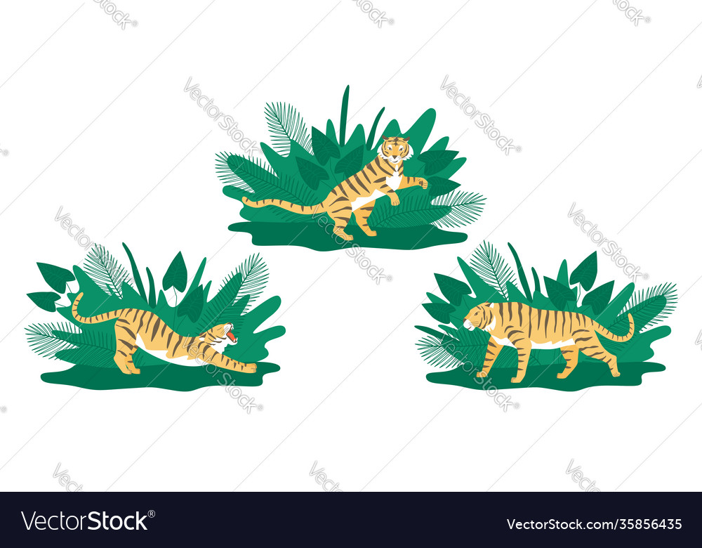 Set with tiger poses