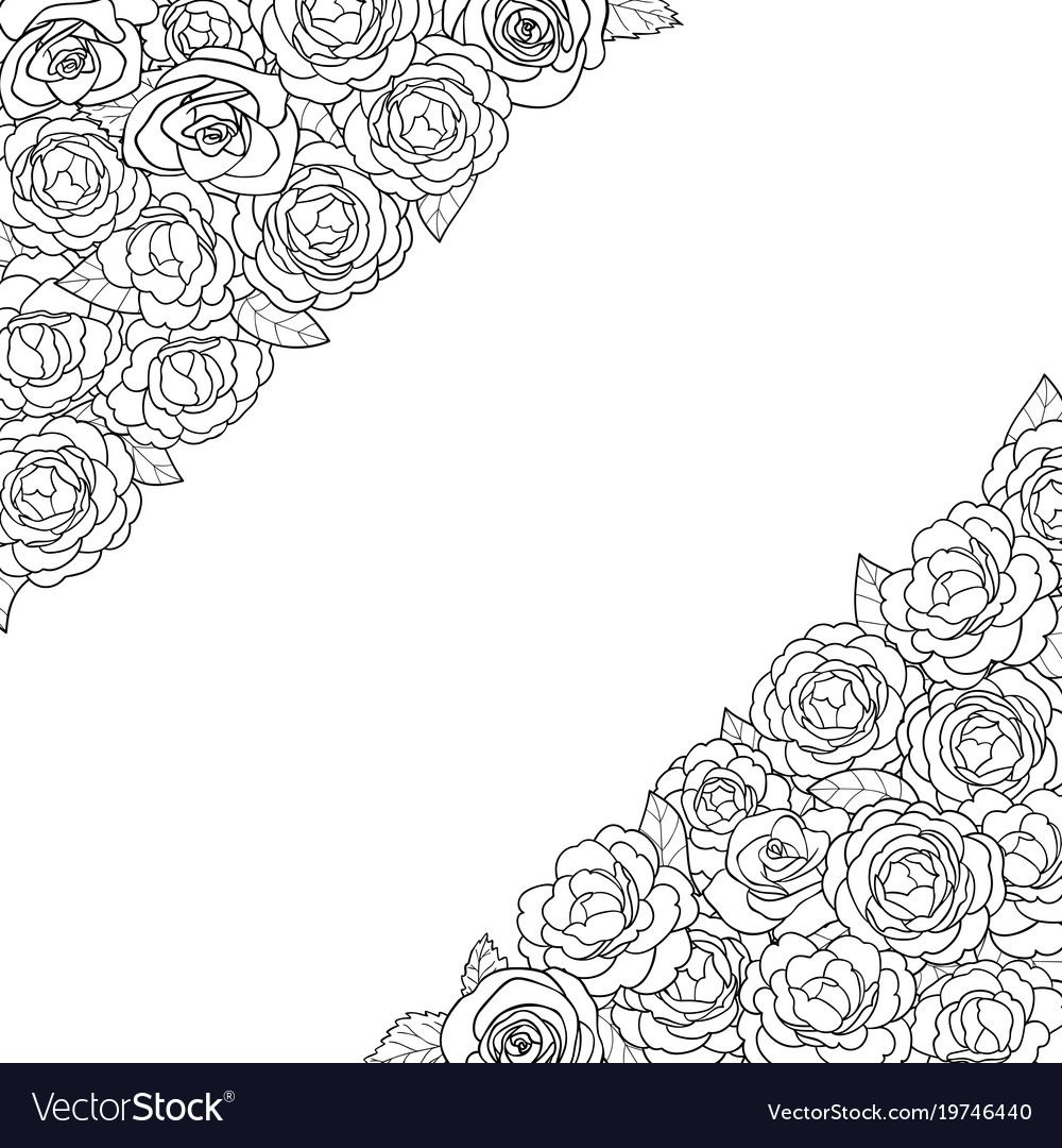 Camellia angular composition