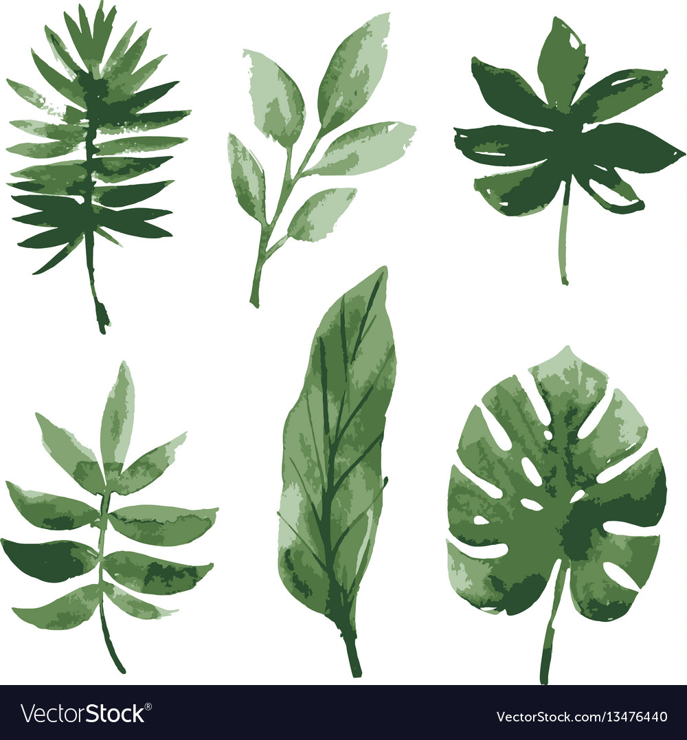 Download Watercolor tropical leaves Royalty Free Vector Image