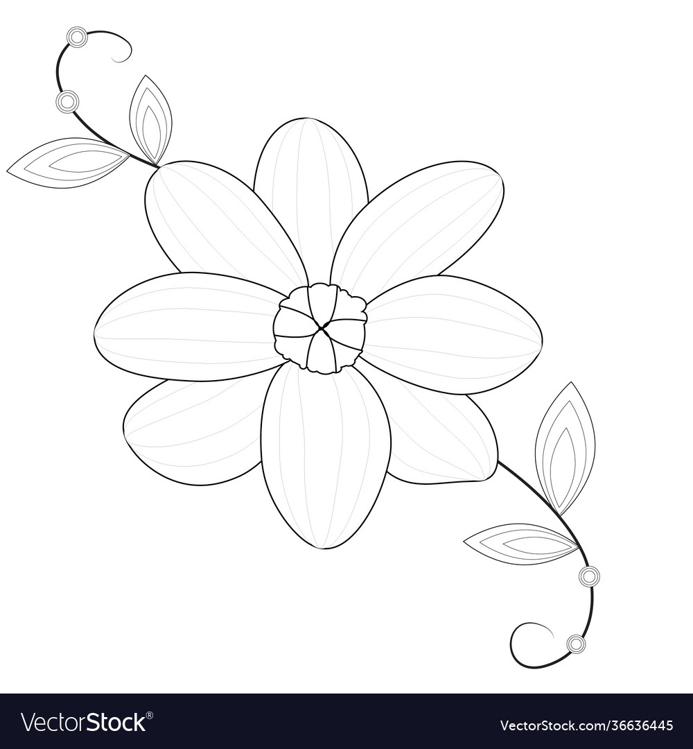 Flower line art picture on white background