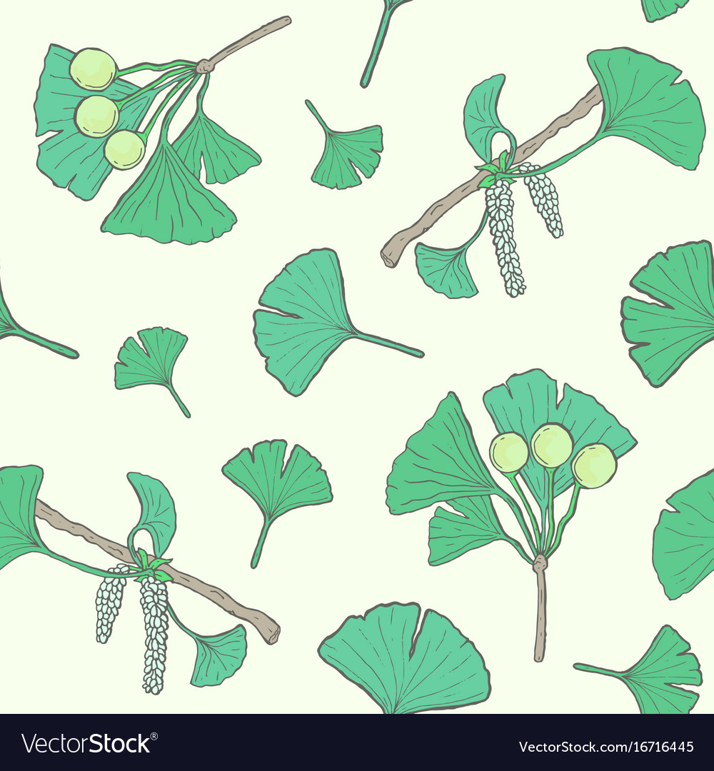 Seamless pattern with ginkgo biloba branches