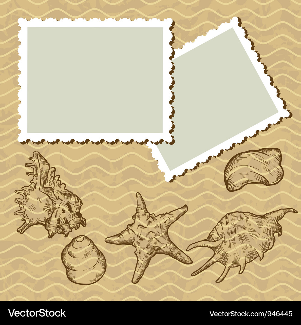 Vintage seashells postcard Royalty Free Vector Image