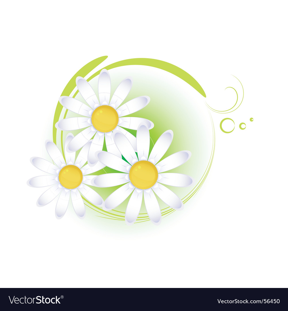 Daisy