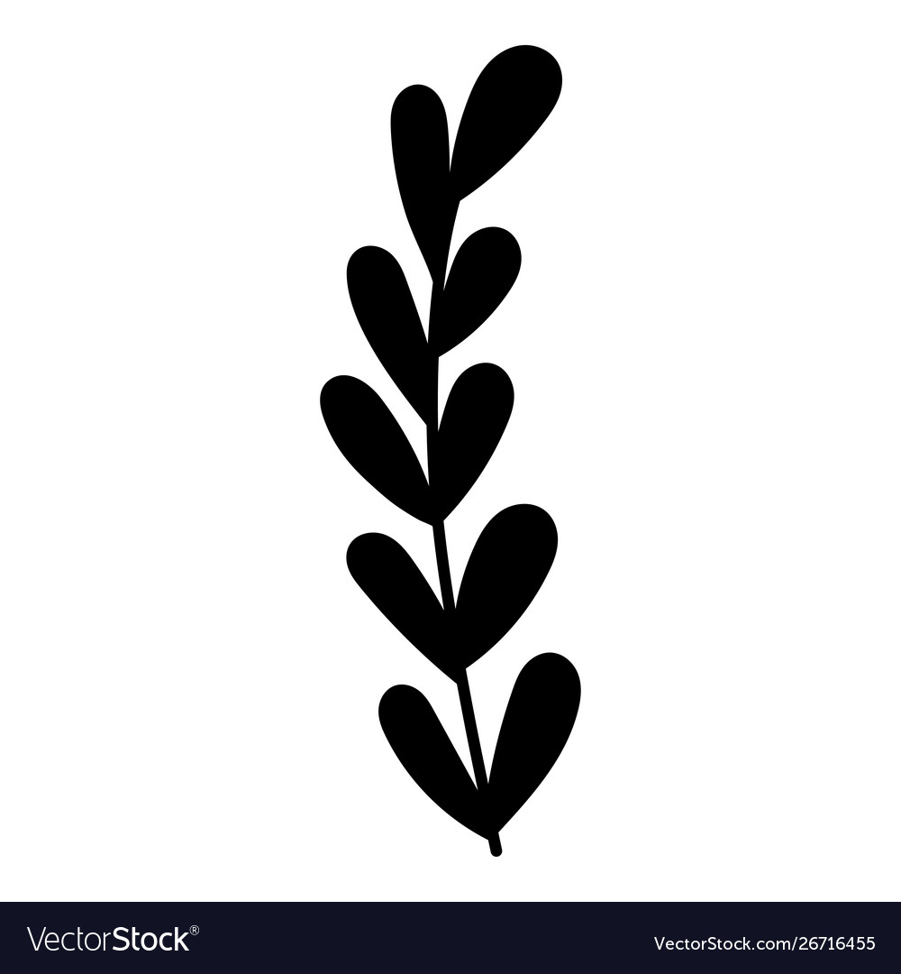 Download Leaf Leaves Herbs Decorative Items For Greeting Vector Image