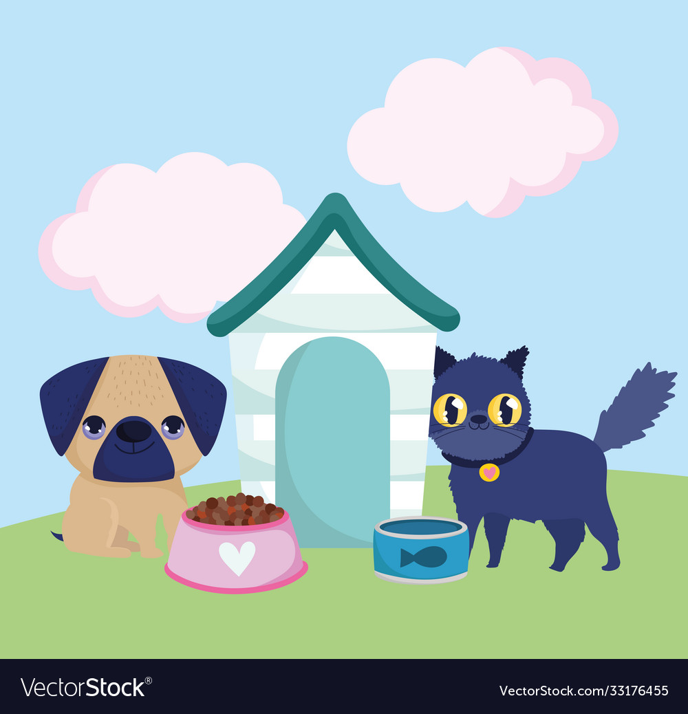 Pet shop little dog and cat with bowls food