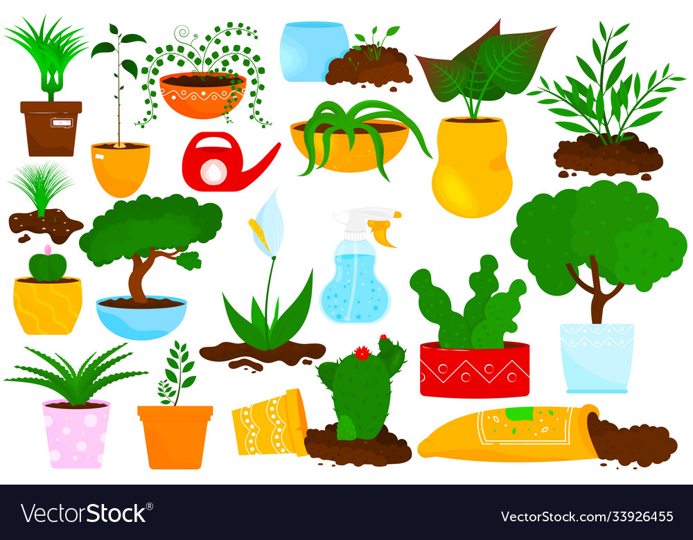 Set potted house plants flowers vector image Set potted house plants flowers