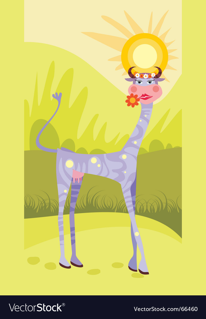 Cow