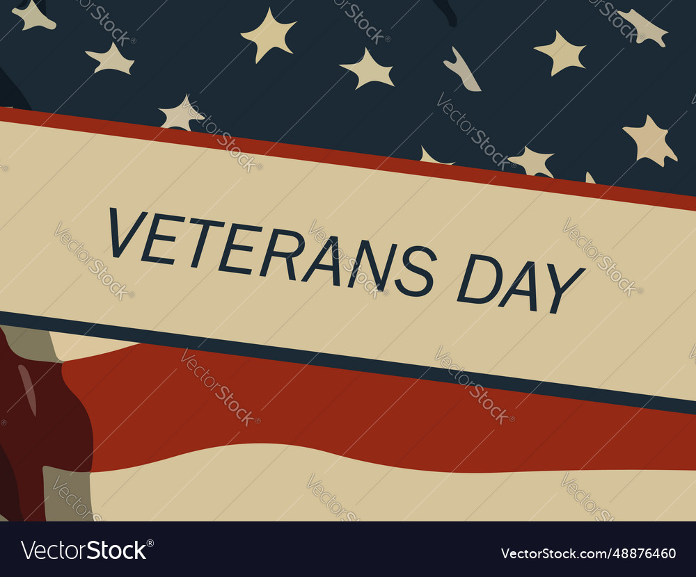 Honoring Our Heroes Veterans Day Banner Template Vector Image