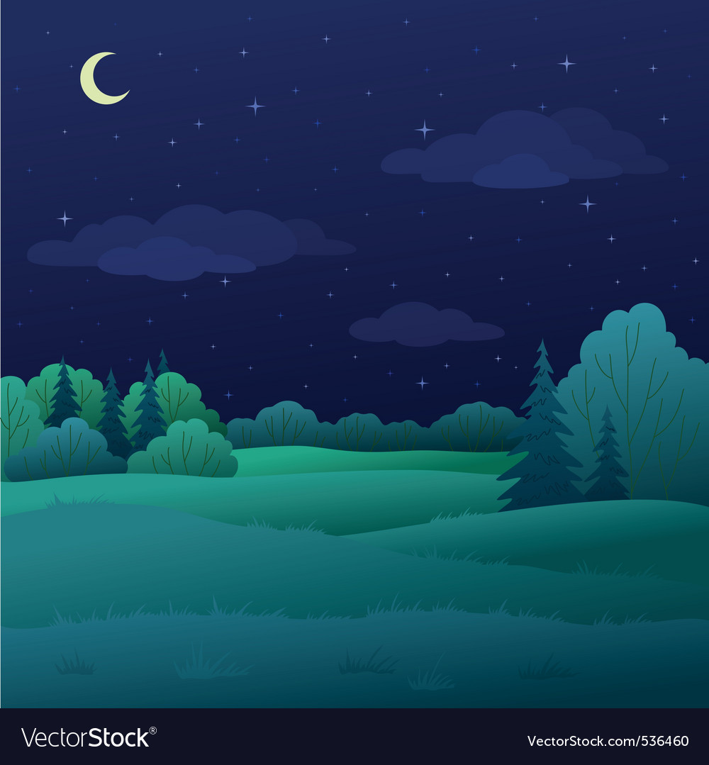Night Forest Landscape