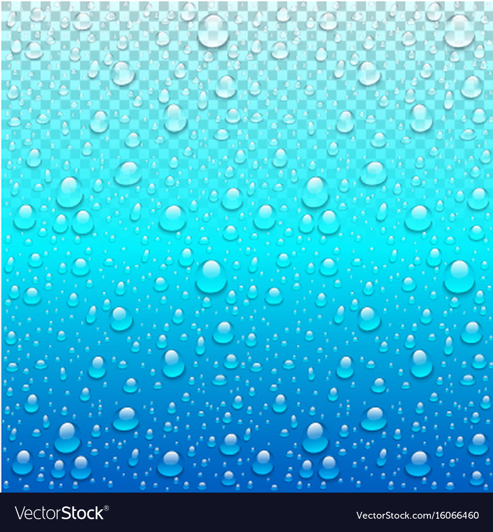 Realistic water drops transparent blue background Vector Image