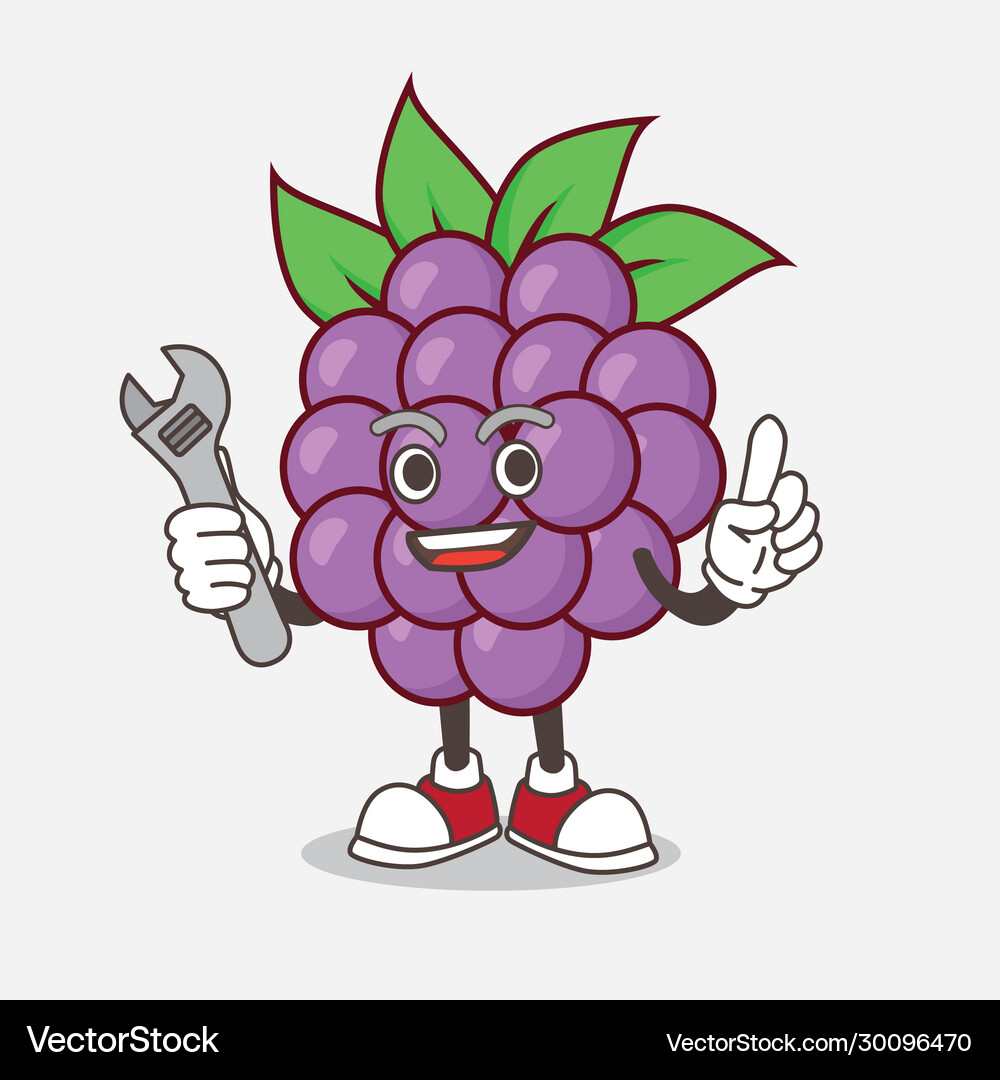 Boysenberries fruit cartoon mascot character Vector Image