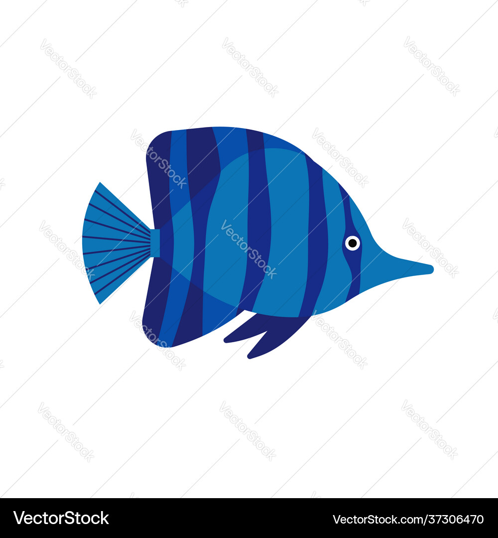 Fish isolated on white background handdrawn Vector Image