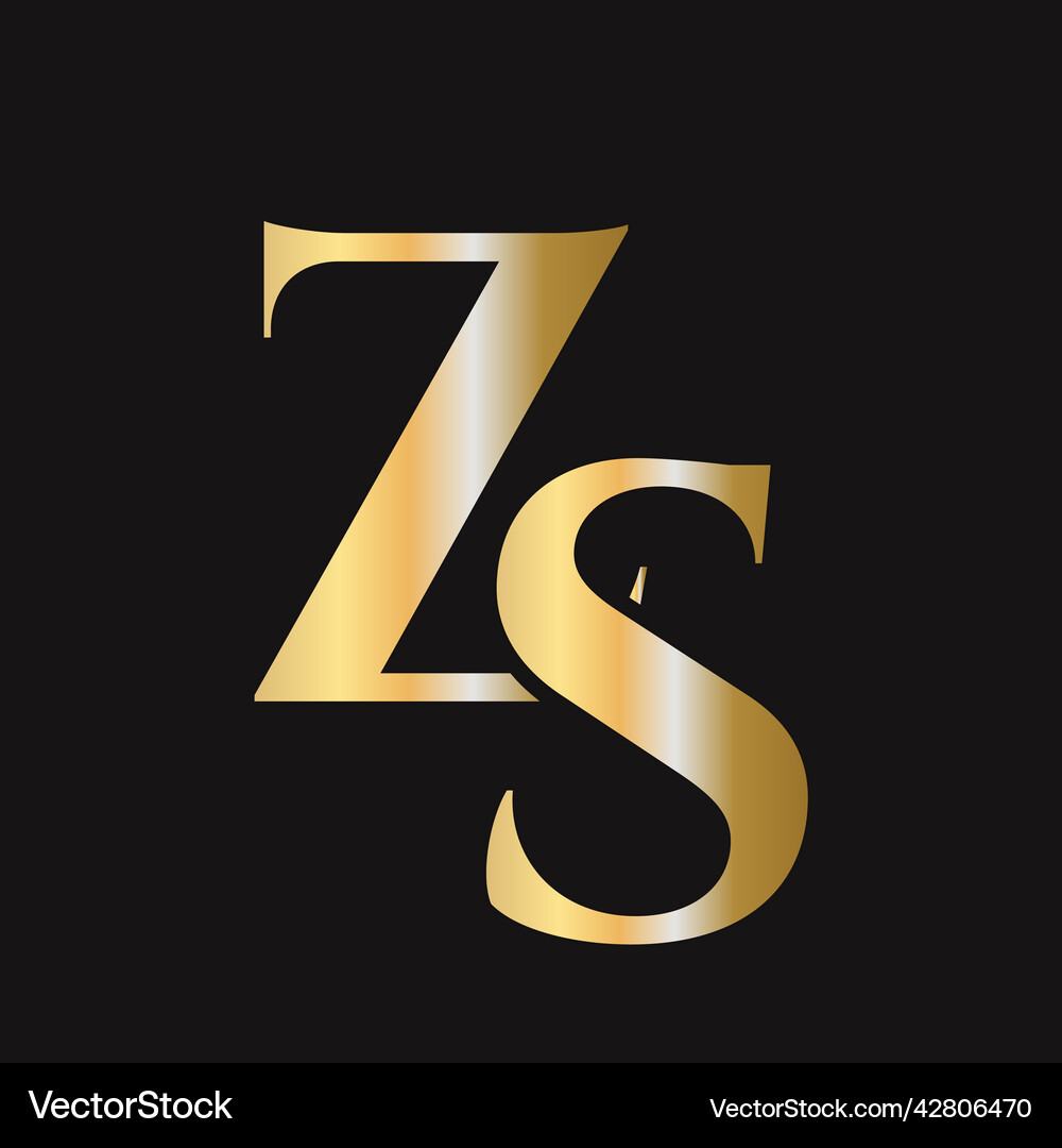 Initial letter sz zs logo design template Vector Image