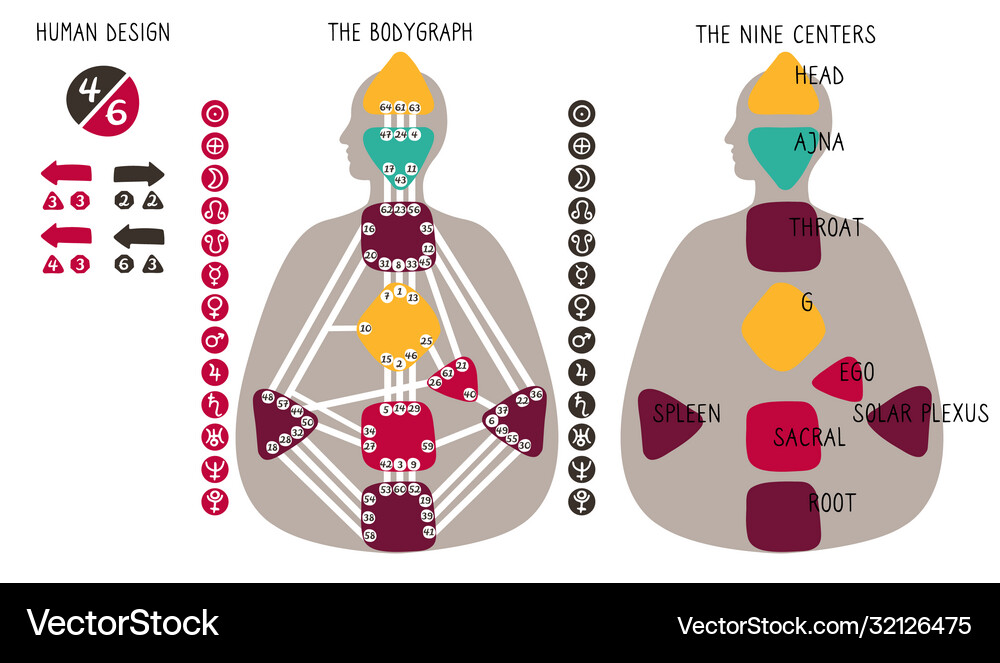 Human design bodygraph chart nine colored energy Vector Image