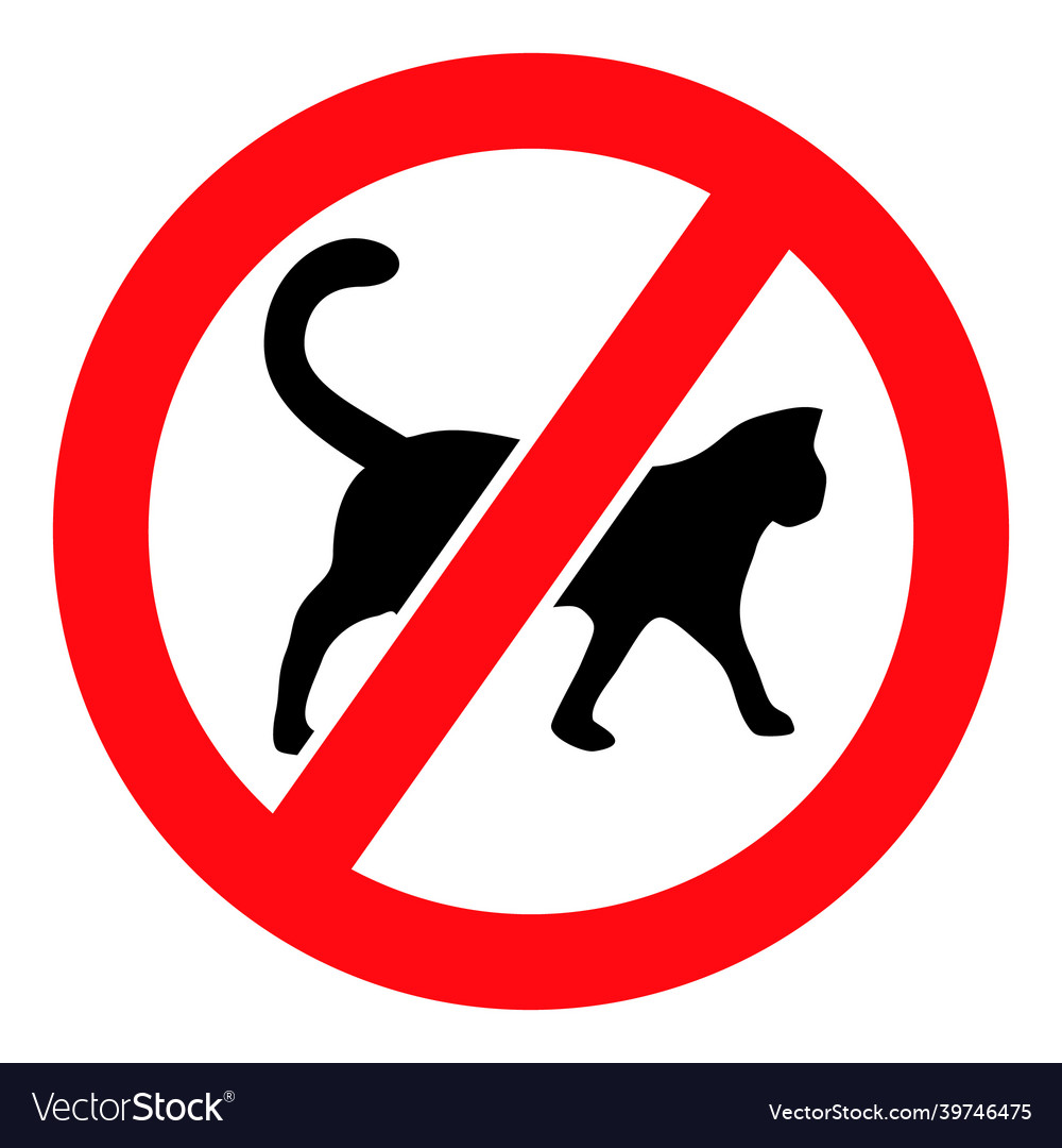 No cats - icon Royalty Free Vector Image - VectorStock