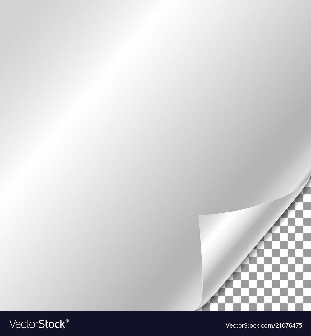 White gradient paper curl with shadow isolated vector image White gradient paper curl with shadow isolated
