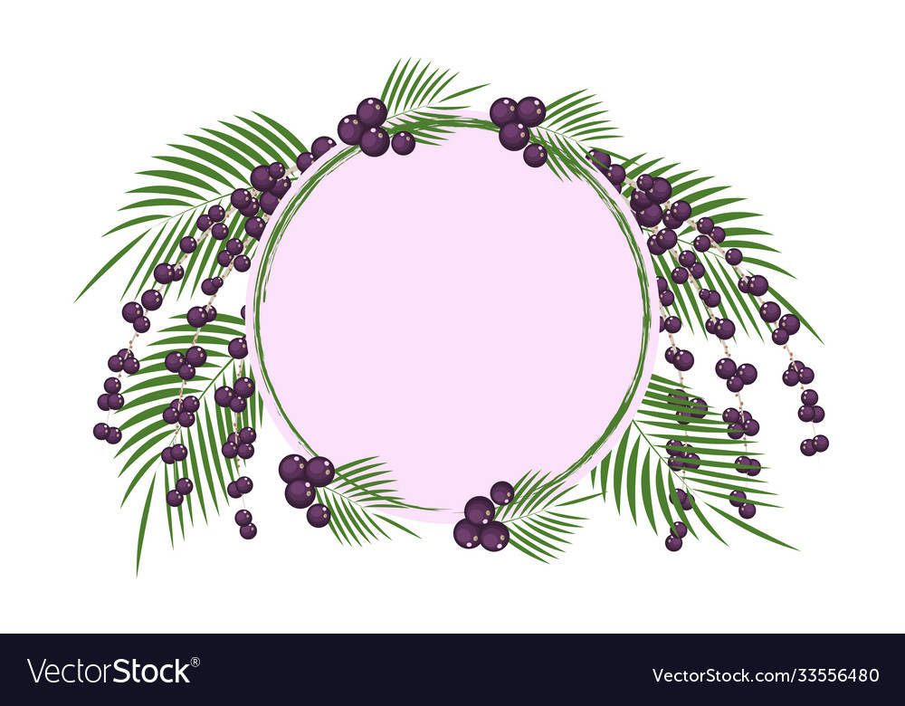 Background with superfood acai berries branches