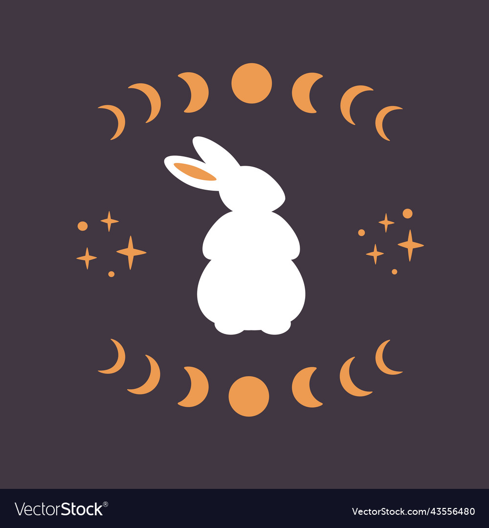 Cute white rabbit with astrological esoteric