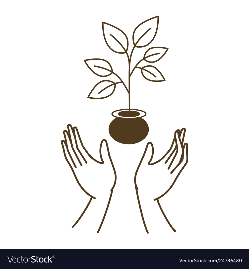 Open hands with small tree avatar character