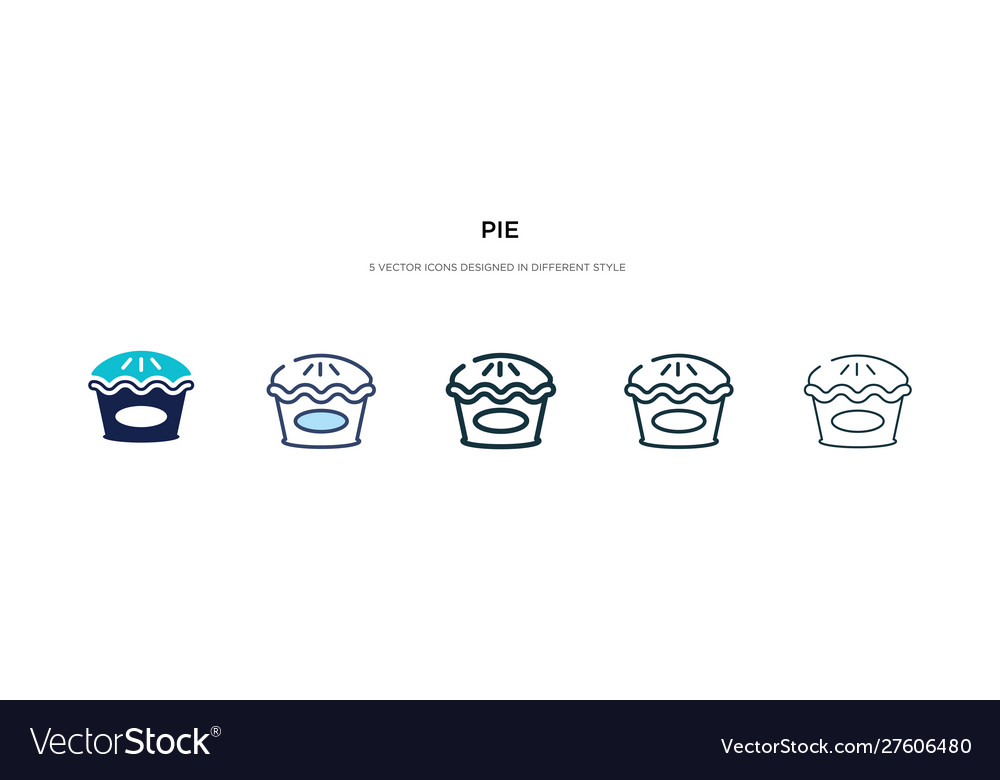 Pie icon in different style two colored