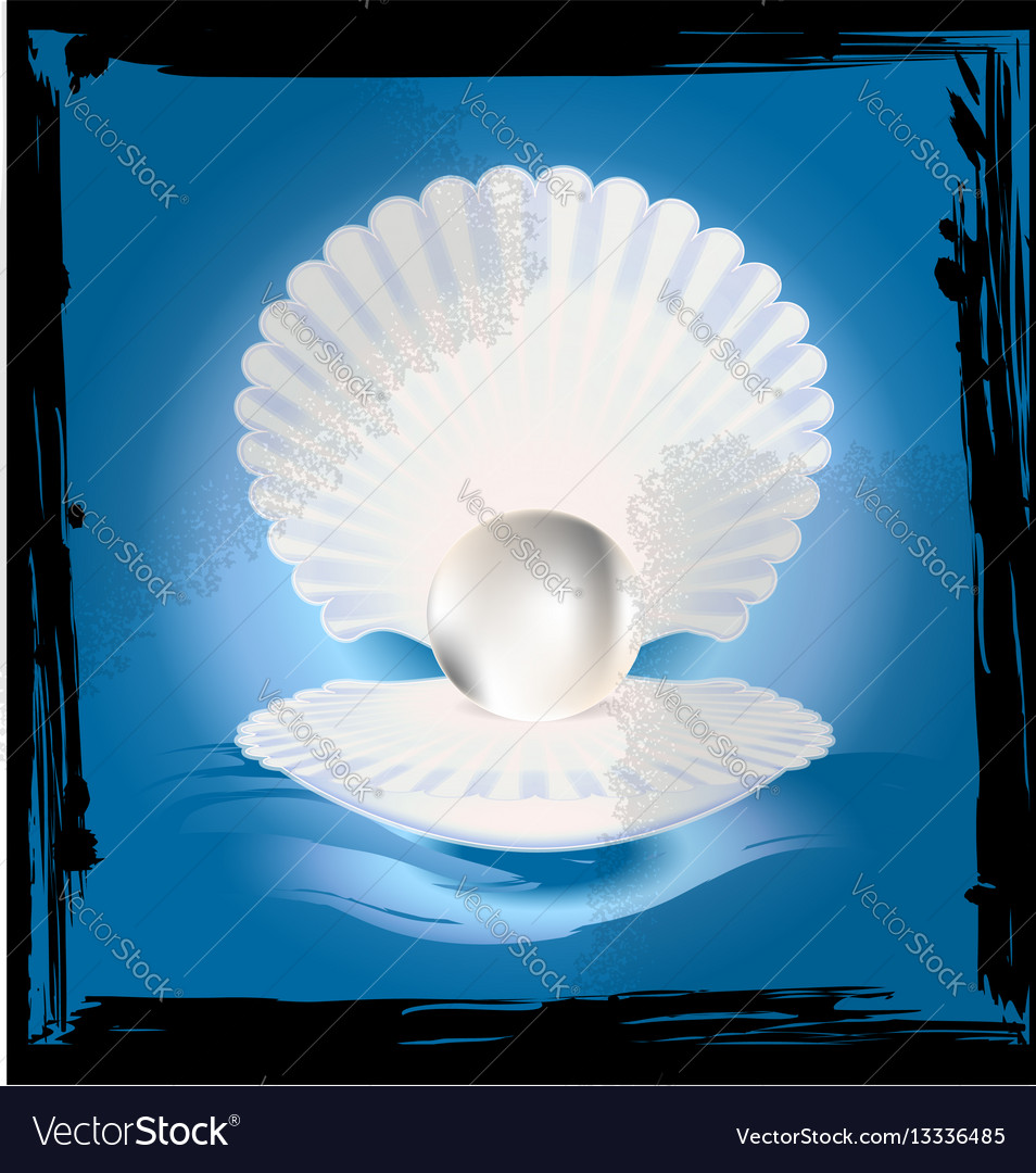 Abstract image of shell