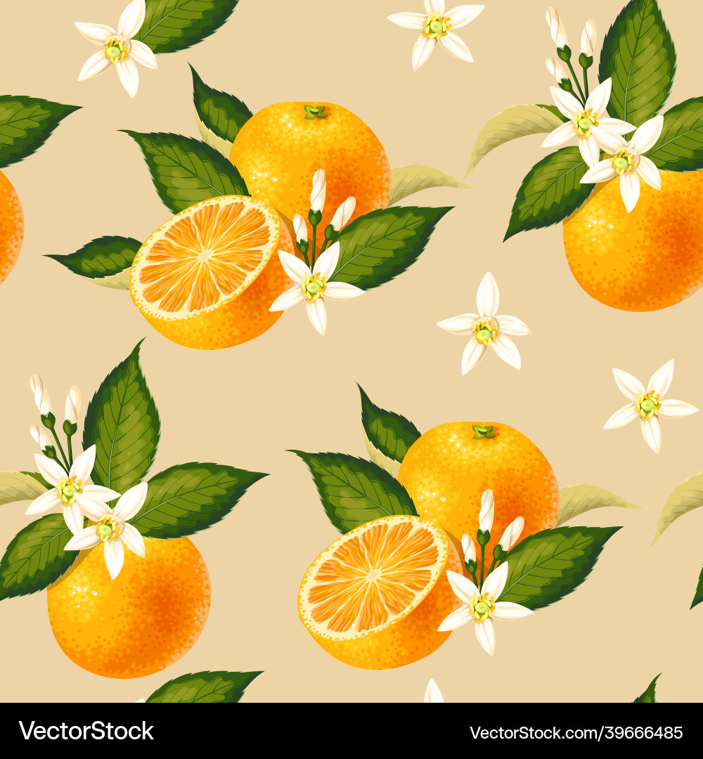 Seamless pattern with orange fruit and leaf Vector Image