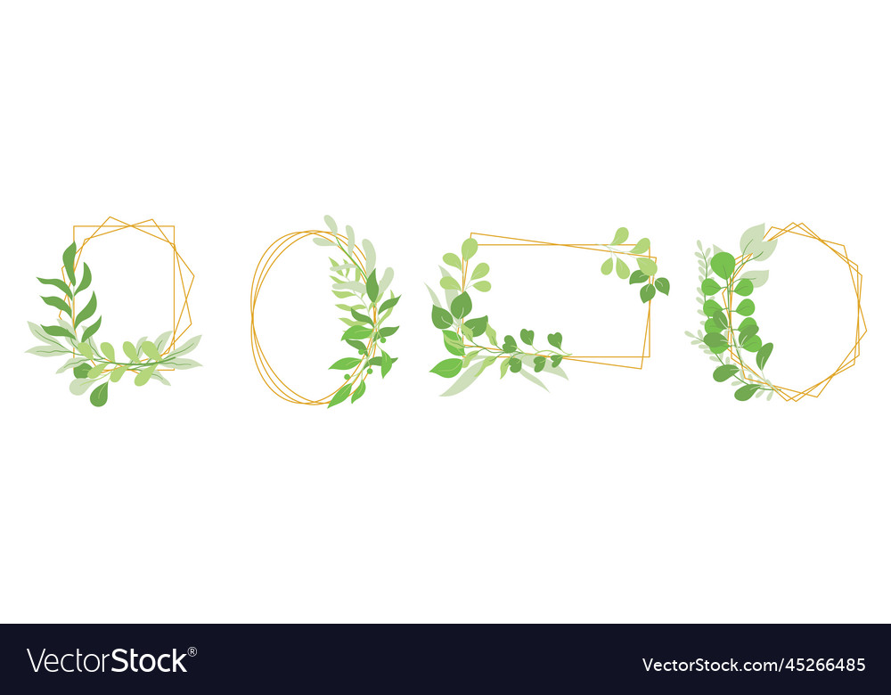 Set of floral botanical frames with green leaves vector image Set of floral botanical frames with green leaves