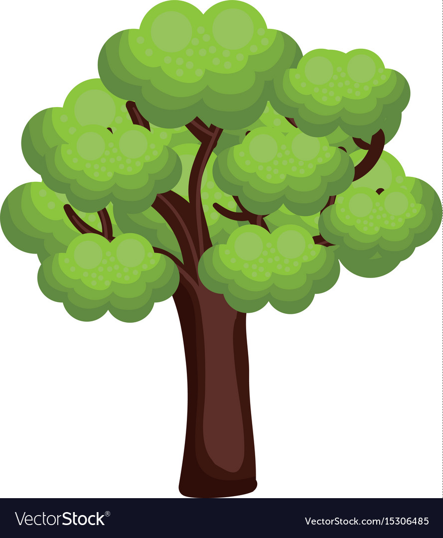 Tree plant isolated icon Royalty Free Vector Image