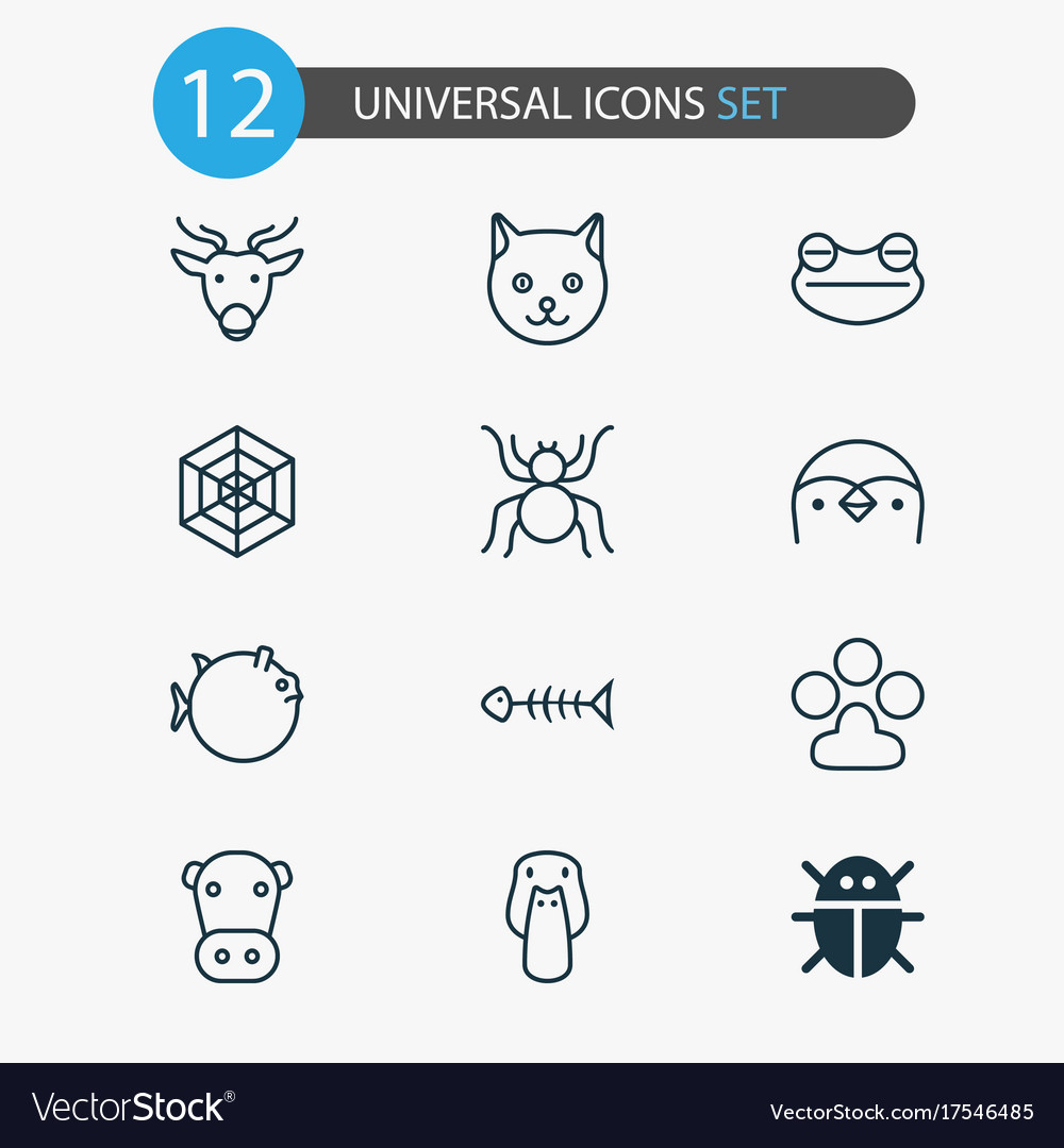 Zoo icons set collection of beetle claw print
