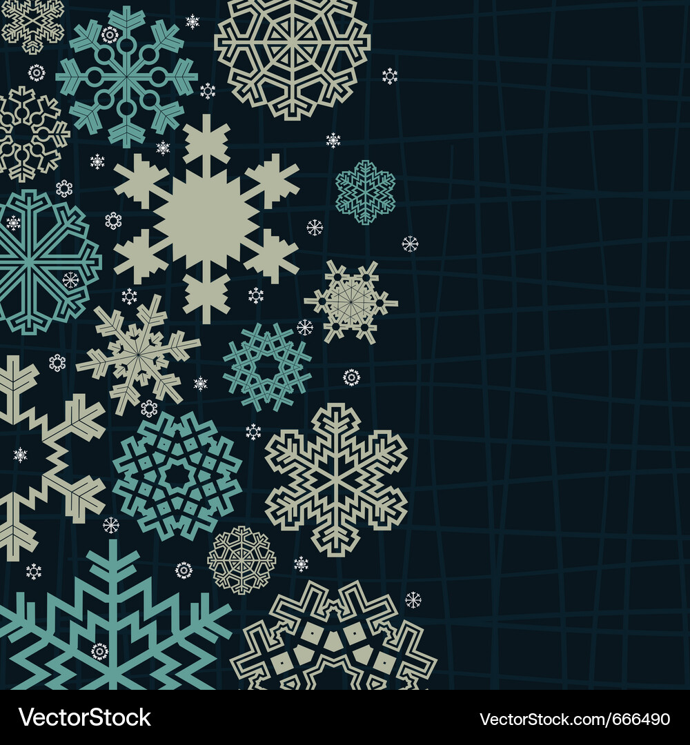 Decorative snowflakes Royalty Free Vector Image