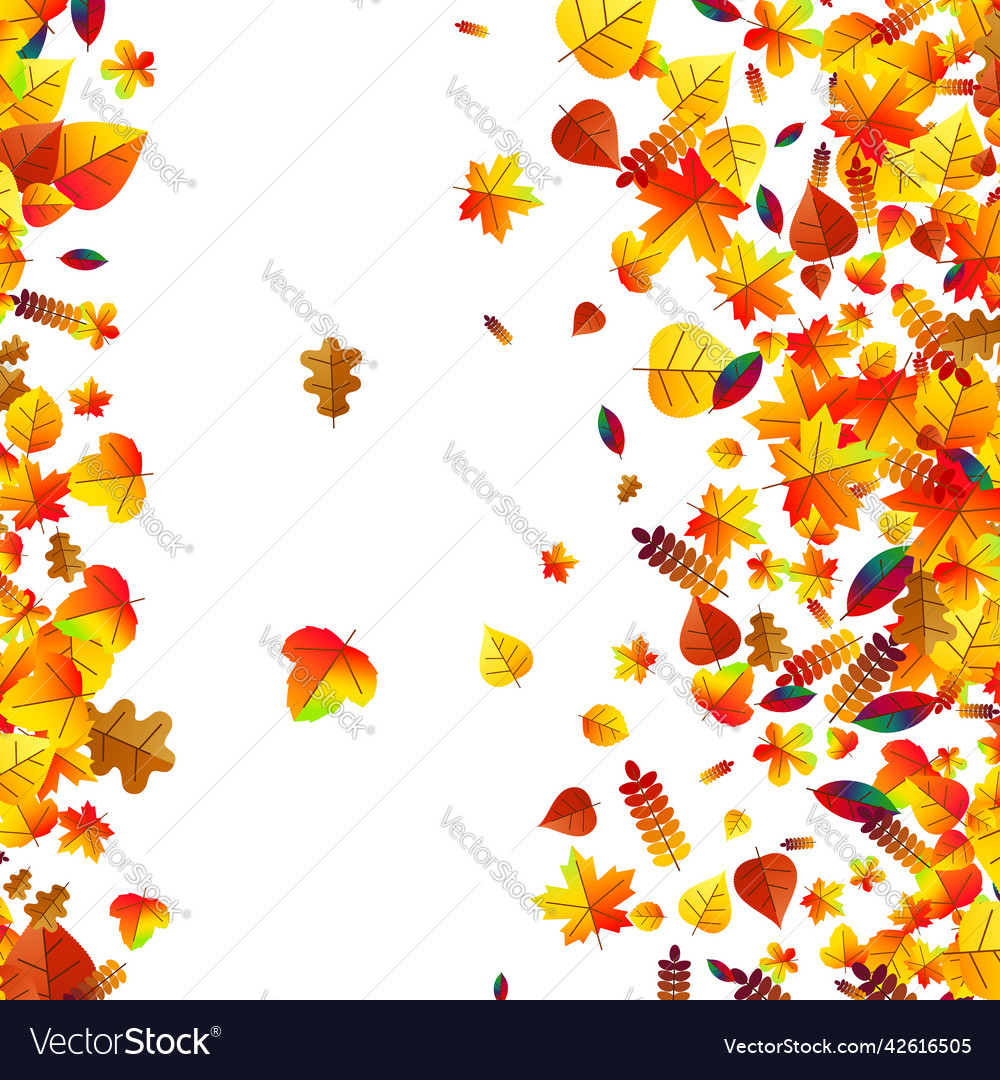 Autumn leaves scattered background oak maple