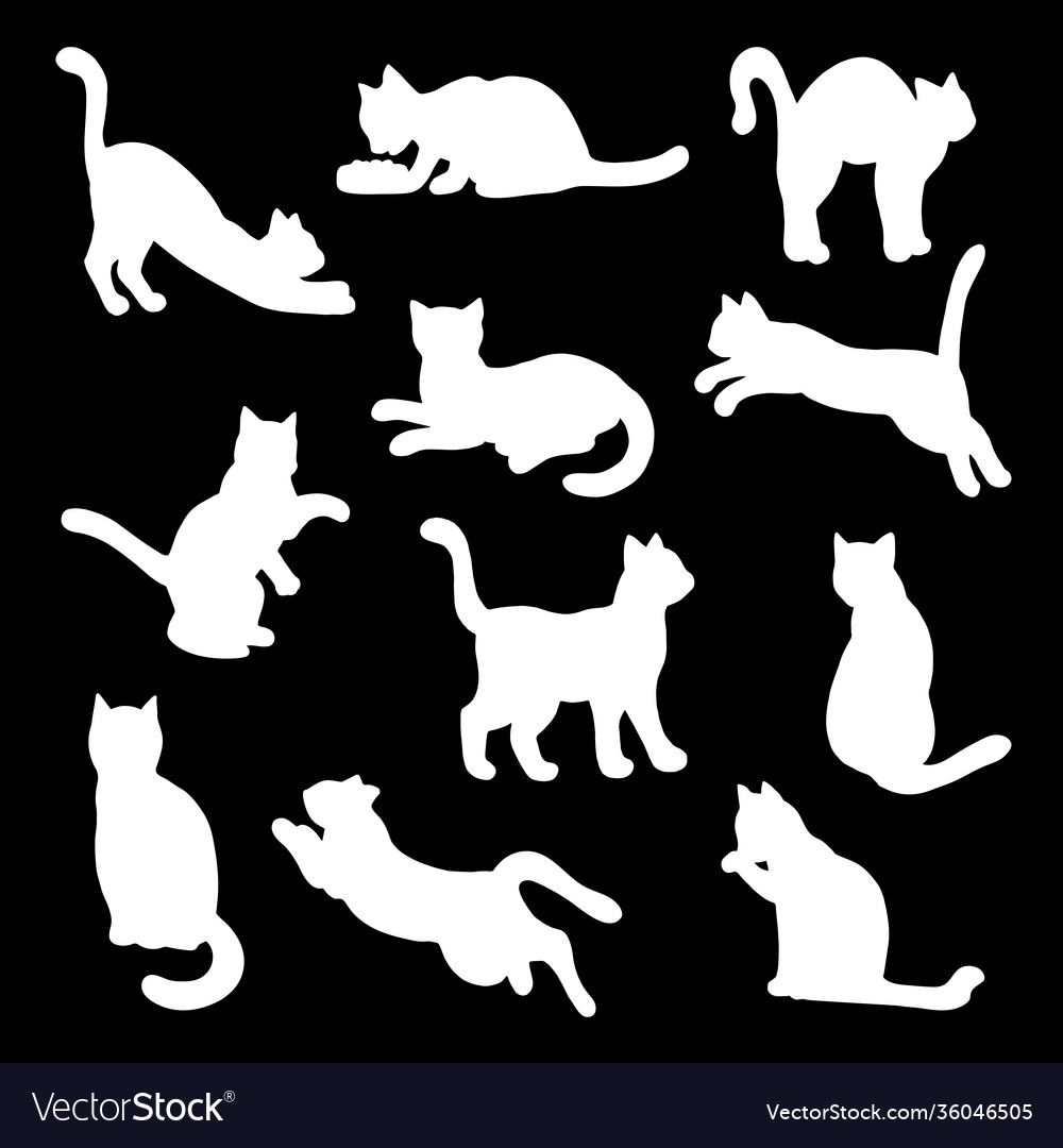 Set cat silhouettes - white stencil on a black
