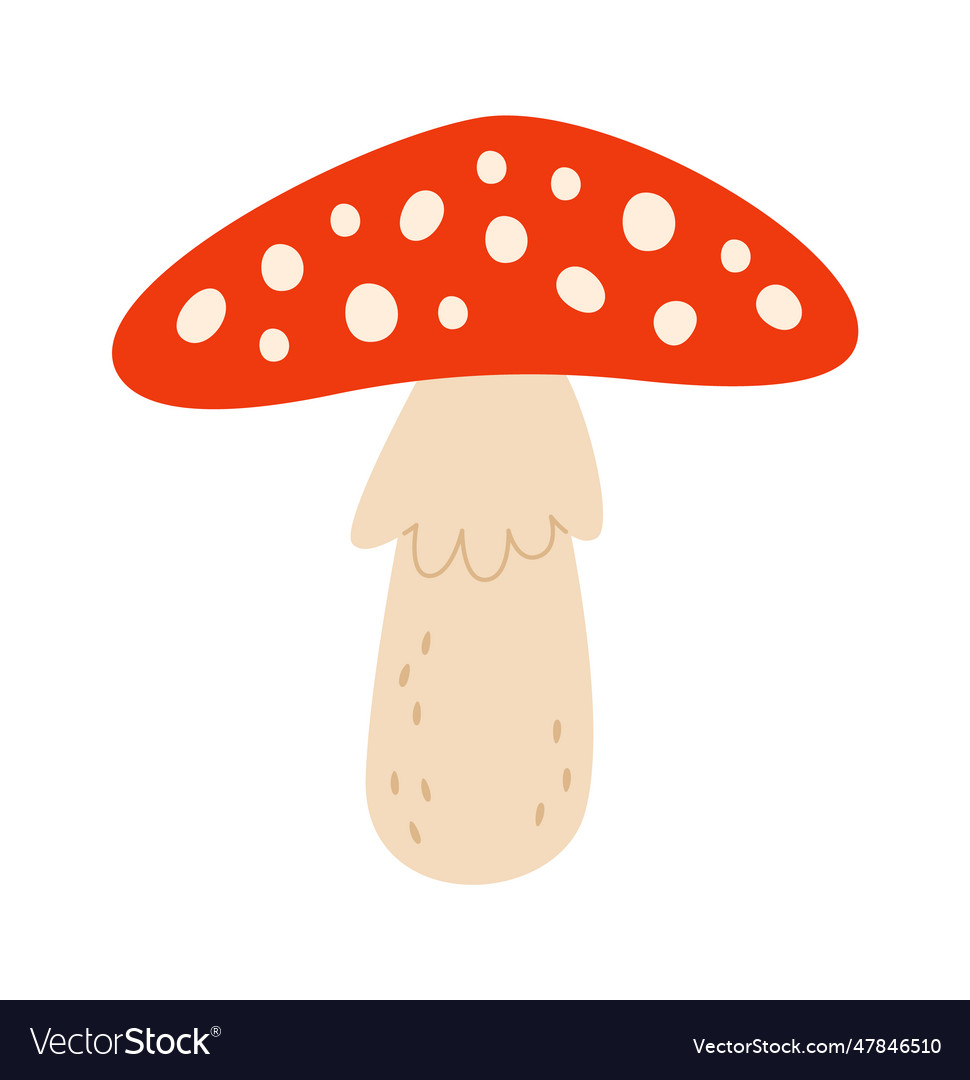 Fly agaric mushroom