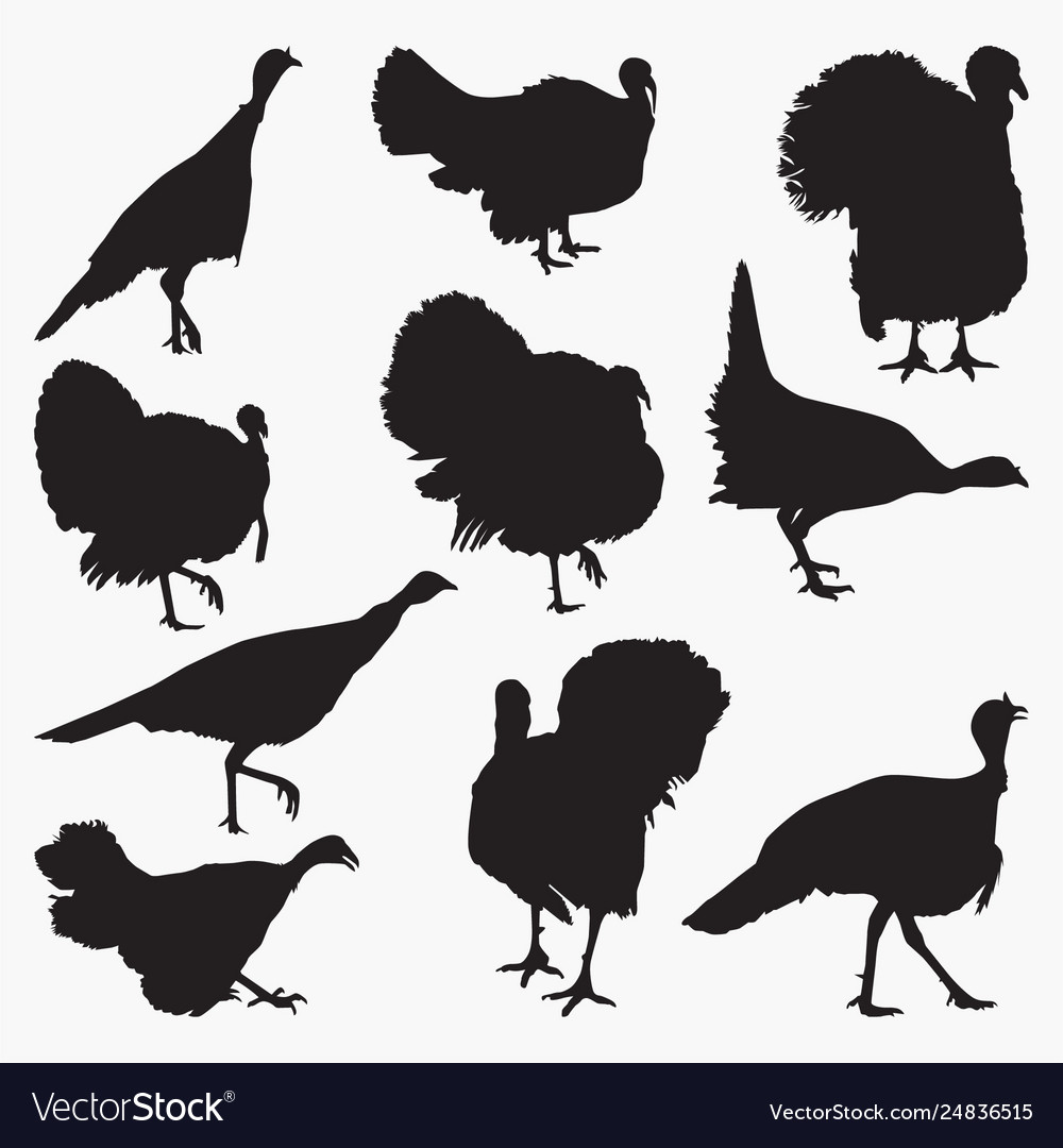 Turkey Silhouettes Royalty Free Vector Image - Vectorstock