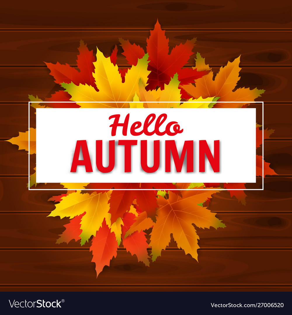 Hello autumn background template with falling