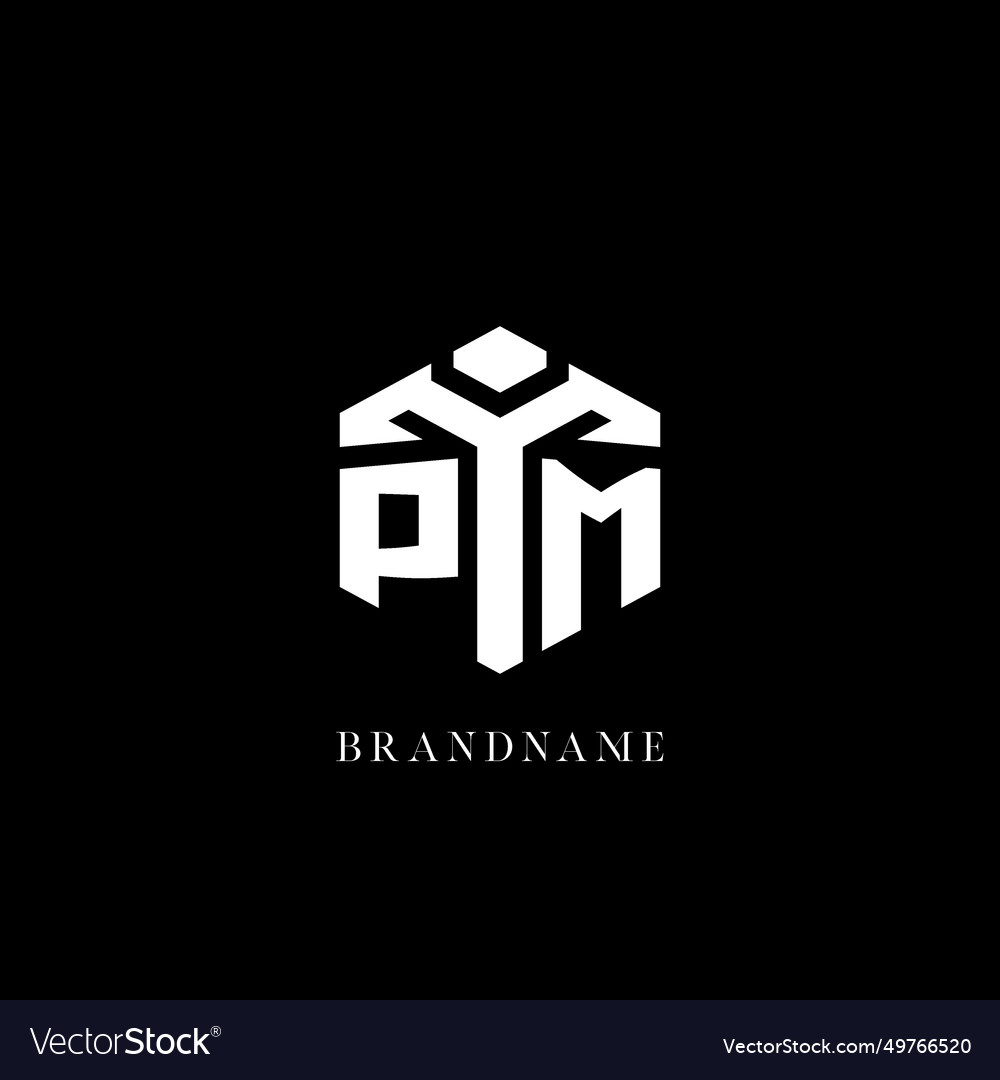 Initial pm logo hexagon shape geometric style