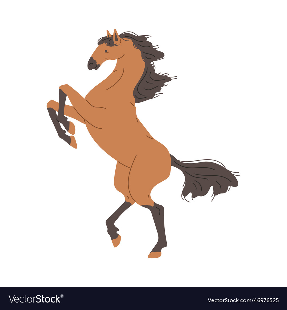 Elegant horse standing on hind legs flat Vector Image