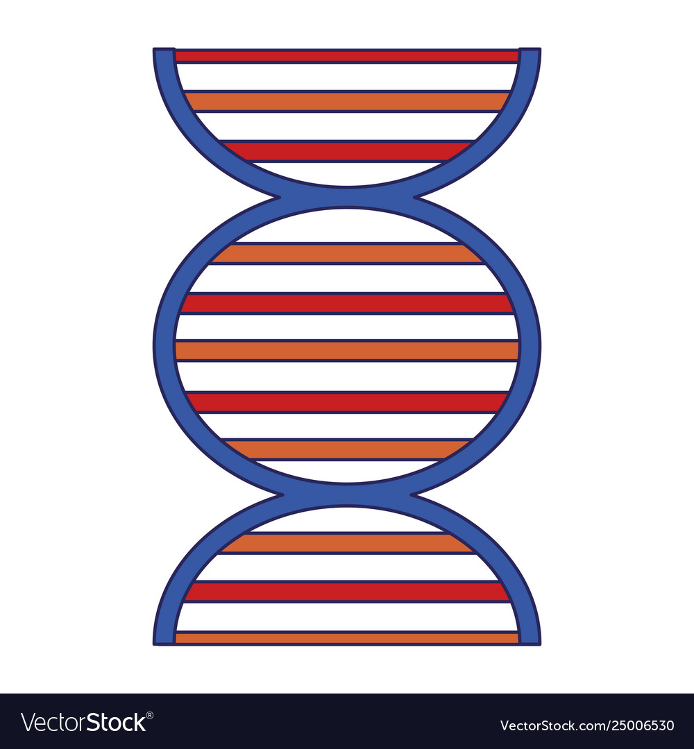 Dna human genetic symbol isolated blue lines Vector Image