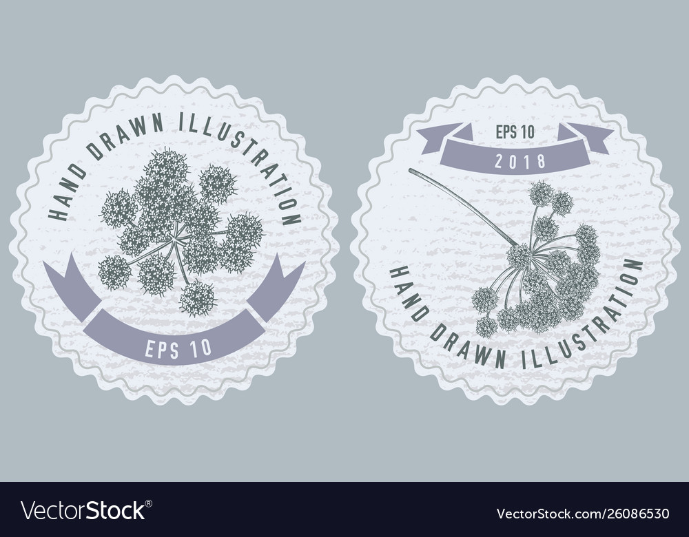 Monochrome labes with angelica stock