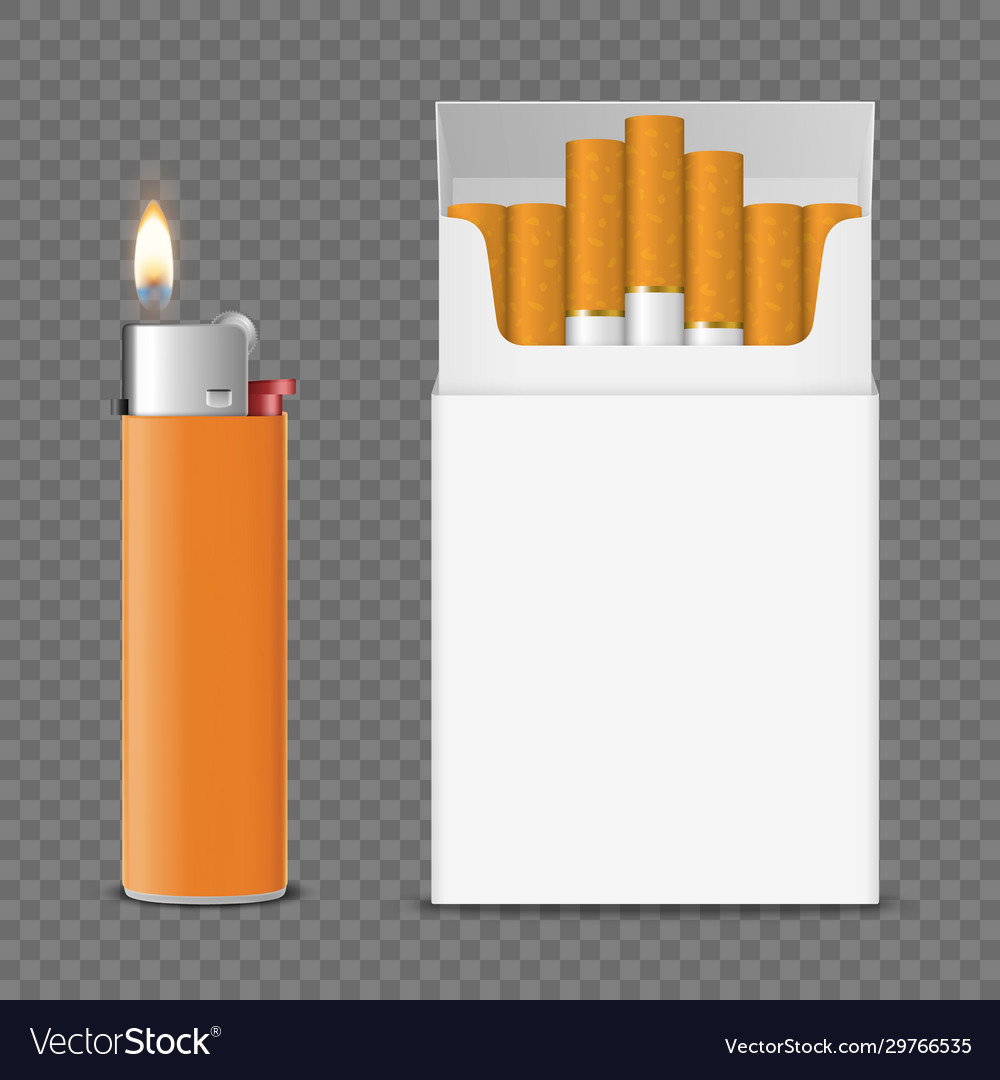 Realistic opened blank cigarette pack box Vector Image