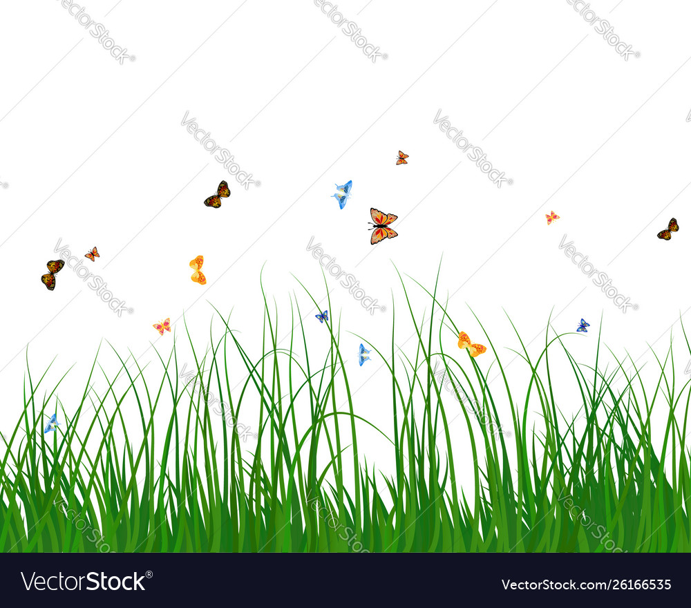 Summer meadow Royalty Free Vector Image - VectorStock