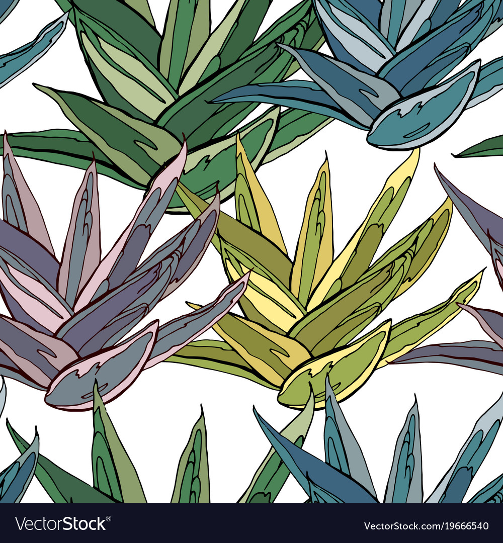 Agave Botanical Pattern