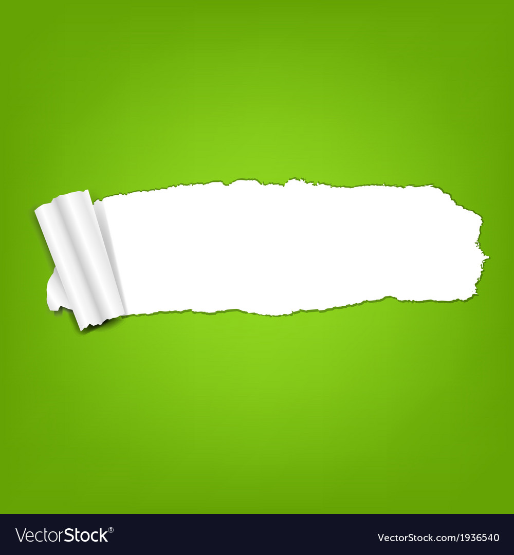 Ripped green paper torn Royalty Free Vector Image