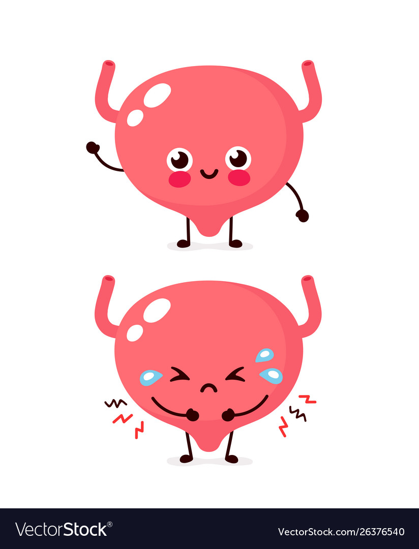 Sad unhealthy sick and happy bladder Royalty Free Vector