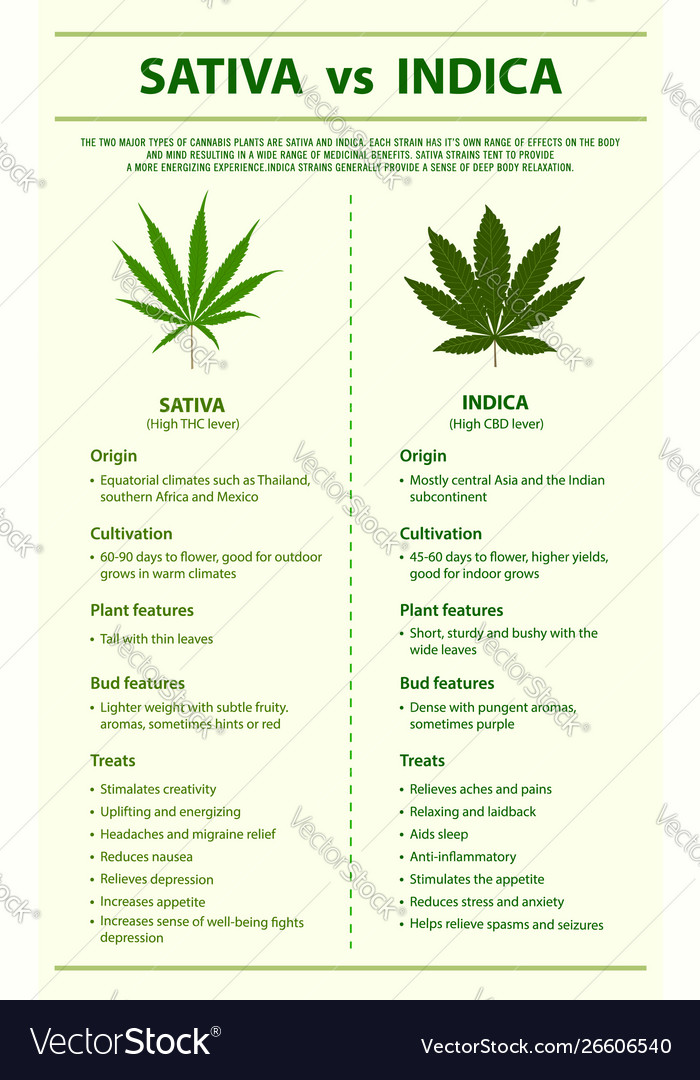 Little Known Facts About Indica Vs Sativa - What's The Difference?.