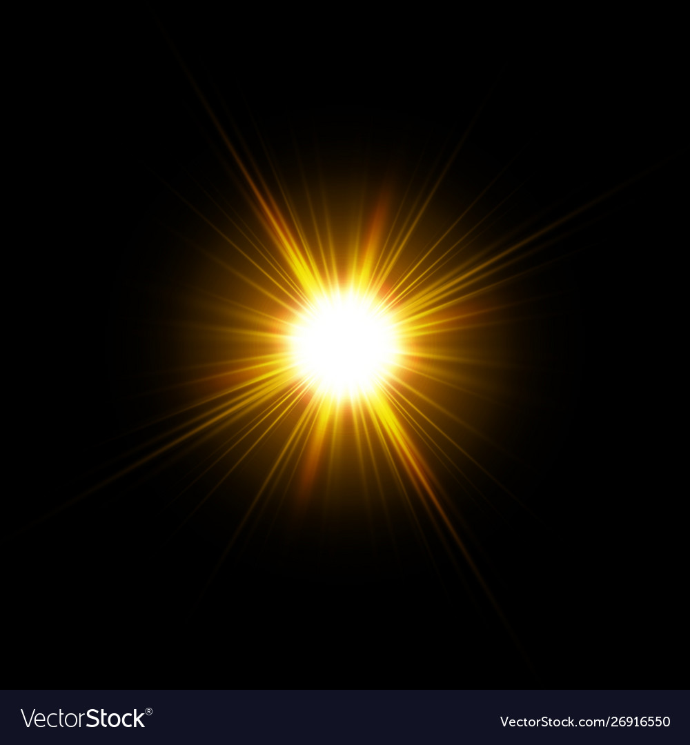 Sunlight Special Lens Flare Light Effect Vector Image